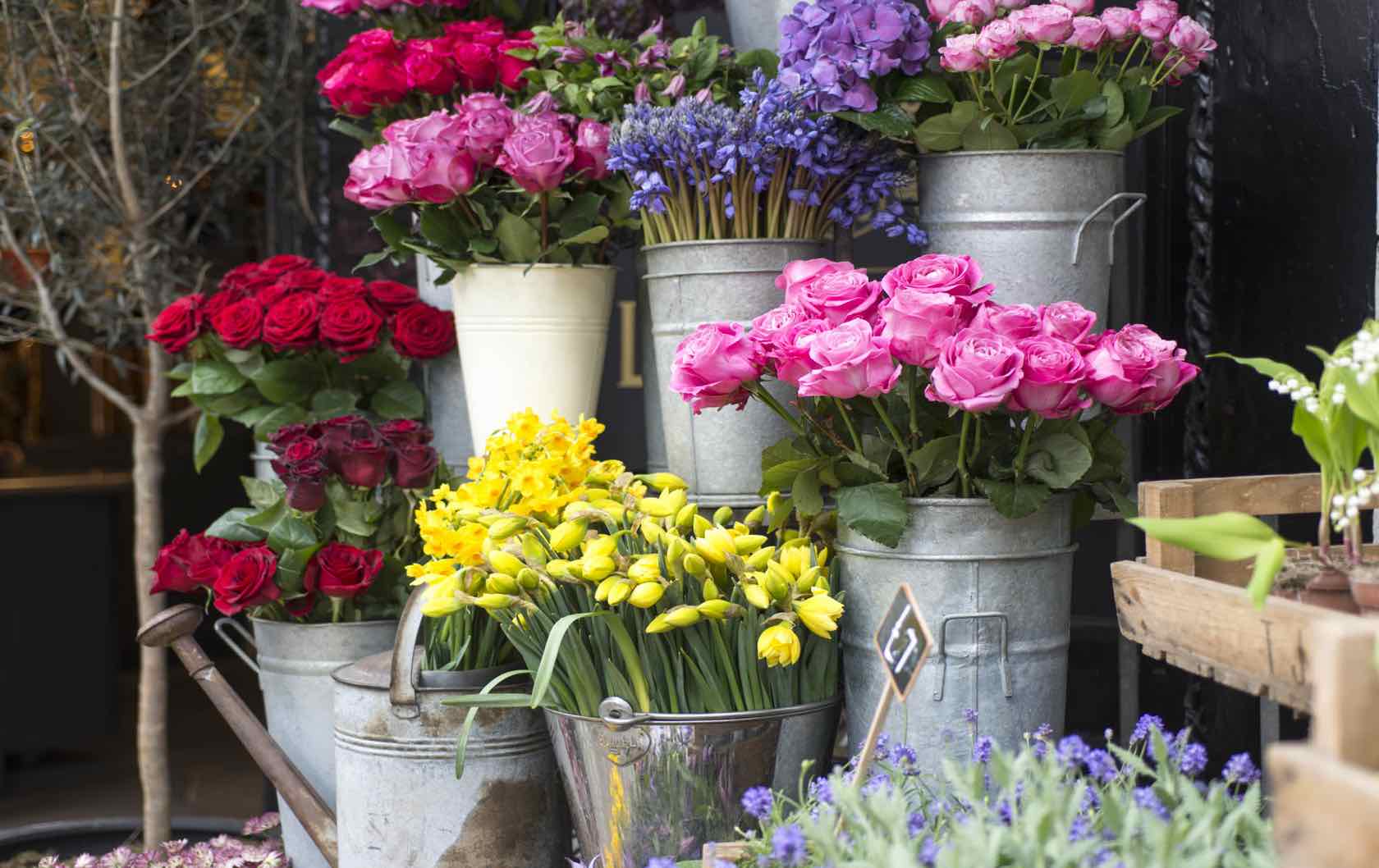 花店 – 如何找到滿足您需求的花店